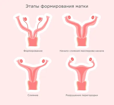 позы для зачатия мальчика — 25 рекомендаций на Babyblog.ru