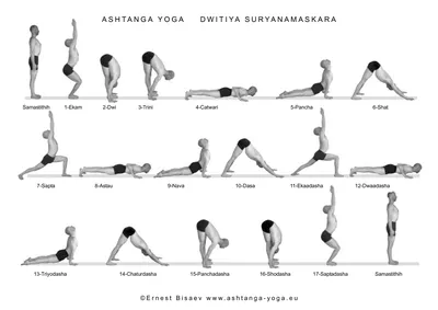 Pincha mayurasana Стоковые фотографии, картинки, все без лицензионных  отчислений - Envato Elements