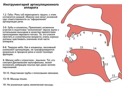 Кокон для новорождённых, инструкция по применению. - Фабрика облаков