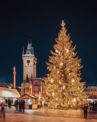 Рождественская Прага | Пикабу