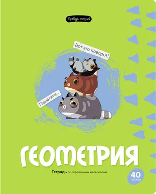 Полезный досуг | Правда жизни. Цитаты и афоризмы великих людей #правдажизни  #цитатывеликих #жизнь #афоризмы | Дзен