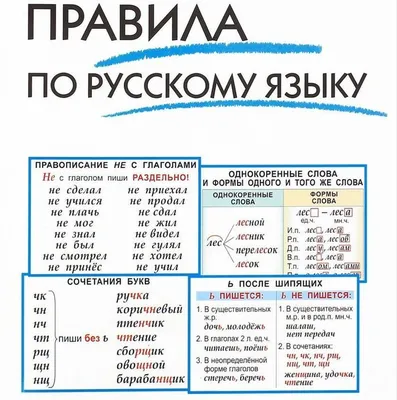 Правила русского языка для учеников 2 класса в картинках | Уроки письма,  Школьники, Задания на грамотность