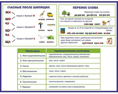 Правила по русскому языку - красивые картинки (50 фото)