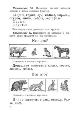 Русский язык.Орфограммы. Главные правила. 1-4 классы: комплект из 4 карт  для подготовки к контрольным и проверочным работам, закрепления правильных  написаний – купить по цене: 45,90 руб. в интернет-магазине УчМаг