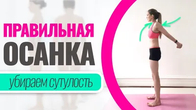 Йога для осанки — видеопрограмма | TruYoga