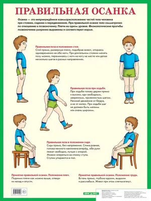 Правильная осанка — залог хорошего самочувствия и физической  привлекательности