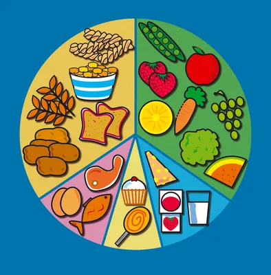Здоровое питание для школьников и подростков: основы правильного питания  для детей школьного возраста