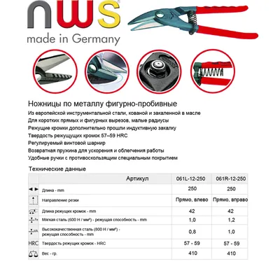 Крайне правые в Европе после пандемии