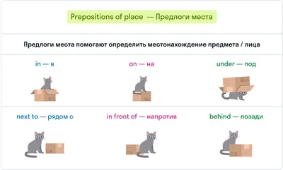 ГДЗ номер B с.61 по английскому языку 2 класса Вербицкая Рабочая тетрадь —  Skysmart Решения