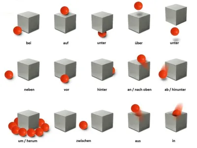 Предлоги: направления и положения в пространстве с примерами (картинки,  таблицы, схемы) | Немецкий язык онлайн. Изучение, уроки.