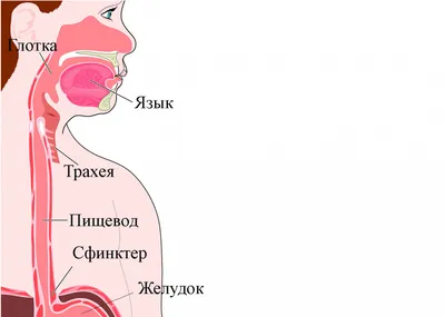 Рак влагалища: симптомы, признаки, лечение, прогноз