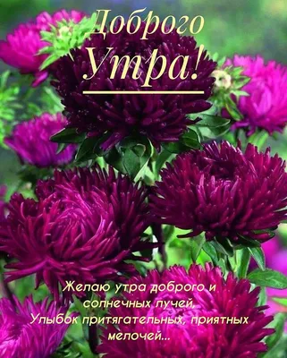 Картинка - Желаю самого доброго и прекрасного субботнего утра!.