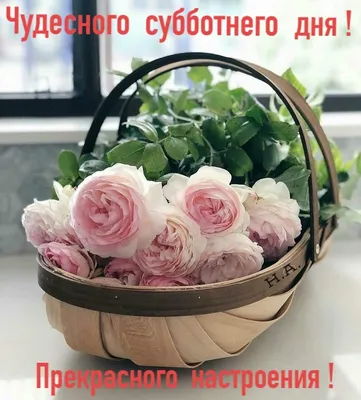 Доброе утро!!! Прекрасного субботнего дня, друзья!!!! Розы, ливкое,  гортензии… | Кирилл Лопатинский | Дзен