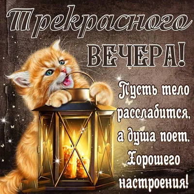 Прекрасного вечера! #добрыйвечер #хорошеговечера #вечер #открытка #пож... |  TikTok