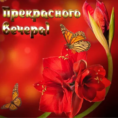 Картинки \"Доброго вечера и спокойной ночи!\" (181 шт.)