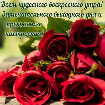 Открытка с воскресеньем, прекрасного отдыха в выходной - GreetCard.ru