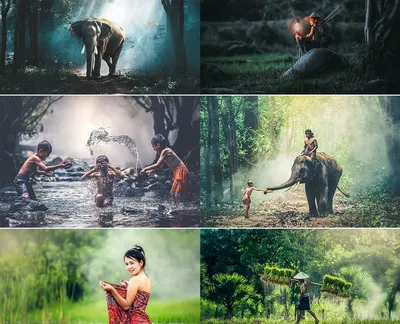 Free Lightroom Presets - 15 Must Have Lightroom Presets!