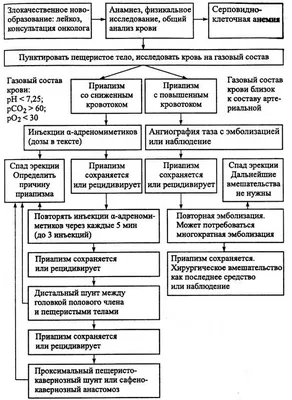 Эротическое помешательство. Эротомания, сатириаз, нимфомания, приапизм,  фетишизм купить с доставкой в интернет-магазине | janzenshop.de