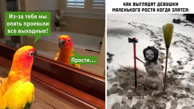 Приколы про современных девушек