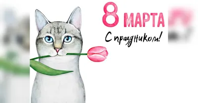 8 марта :: православно :: священник (поп) / смешные картинки и другие  приколы: комиксы, гиф анимация, видео, лучший интеллектуальный юмор.