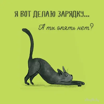 У природы нет плохой породы,и что делать без телефона? смешные картинки  приколы с озвучкой 🤣 - YouTube