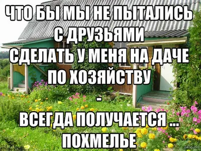 приколы #юмор #смех #мемы #смешно #прикол #мем #ржака #ржач #смешноевидео  #шутка #шутки #смешное #видео #лол #угар #весело #смешныевидео… | Instagram