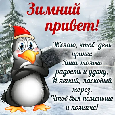 Добрый зимний день картинки прикольные с юмором (42 фото) » Красивые  картинки, поздравления и пожелания - Lubok.club