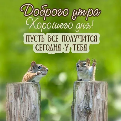 доброеутро #и #хорошегодня #☀️#☕️ #🍫 #❤️ | TikTok