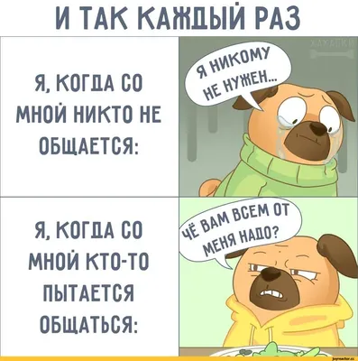 И ТАК КАЖДЫЙ РАЗ Я. КОГДА СО МНОЙ НИКТО НЕ ОБЩАЕТСЯ: Я. КОГДА СО МНОЙ  КТО-ТО ПЫТАЕТСЯ ОБЩАТЬСЯ: / Хахаски :: общение :: Смешные комиксы  (веб-комиксы с юмором и их переводы) /