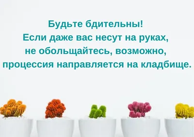 Прикольные статусы на все случаи жизни для социальных сетей: 50+ вариантов