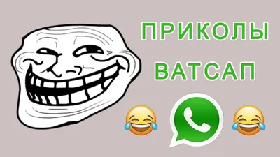 Смешные переписки в WhatsApp | FunGovernment | Дзен