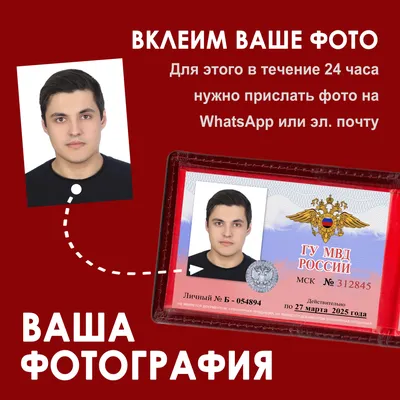 Жарю собаку, с кем поделиться\": сахалинцы нашли жуткую группу в WhatsApp.  Сахалин.Инфо