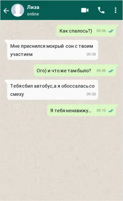 WhatsApp стикеры. Прикольные животные – скачать приложение для Android –  Каталог RuStore