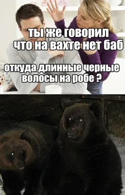 Ательє Щастя - 😂😂😂 #ательесчастья #приколы #работа #смешное | Facebook