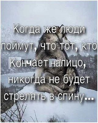 Прикольные картинки с юмором на каждый день (20 картинок) от 11 февраля  2020 | Екабу.ру - развлекательный портал