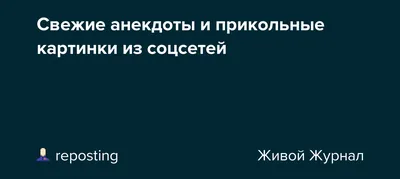 Прикольные картинки со смешными надписями (17 шт) - 14.07.2023