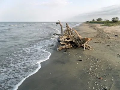 Приморско-Ахтарск — Гостиница Марисоль