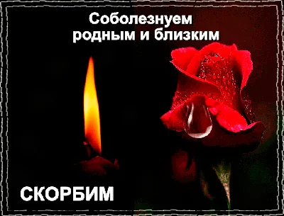 Алексей Сотник on X: \"Приношу свои соболезнования родным и близким погибших  в Забайкалье..... https://t.co/vArc8gz2bN\" / X