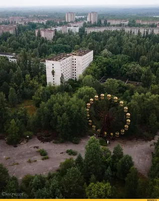 Припять / смешные картинки и другие приколы: комиксы, гиф анимация, видео,  лучший интеллектуальный юмор.