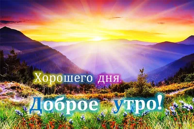 Доброе утро! ❤️Чудо природы - гроздья рябины зимой...❤️Невероятно  красиво!❤️Good morning!❤️ - YouTube