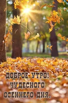 Доброе утро природа рисунок - 73 фото