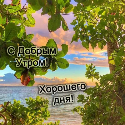 Природа с добрым утром картинки