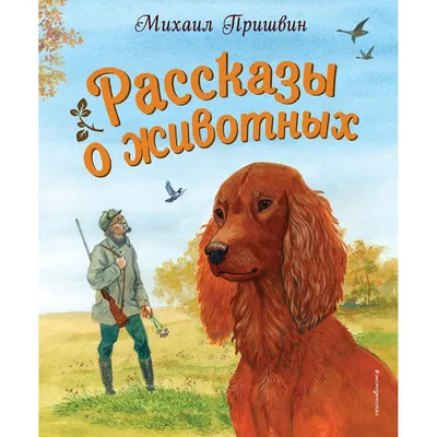 Отзвуки войны. Жизнь после Первой мировой. Пришвин М.М.»: купить в книжном  магазине «День». Телефон +7 (499) 350-17-79