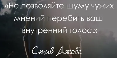 Притча индейцев чероки \"Два волка\". Кого \"кормишь\" ты? | МОЙ ЖУРНАЛ | Дзен