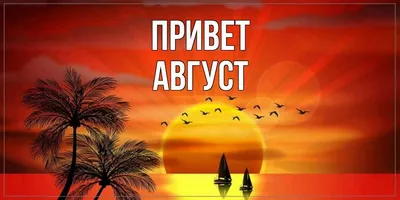 Привет, август! | Пикабу