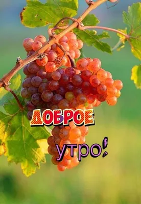 Привет август! #отличноголетнегомесяца #стройнойфигуры #челендж1  #к1сентября | Instagram