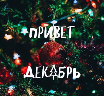 Привет,декабрь | Christmas bulbs, Christmas mood, Holiday decor