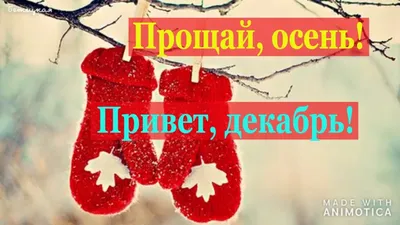 1 Декабря | Привет, декабрь, Декабрь, Новый год