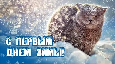 Привет декабрь ☃️🎄❄️ Снег ближайшую неделю не предвидится, но вы же  знаете, как он у нас внезапно приходит 😜 Главное , чтобы настроение… |  Instagram