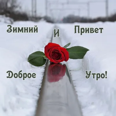 ТАНЮША💝💝💝СОЛНЫШКО🤗🤗🤗 (@tanyusha19.04)'s videos with оригинальный звук  - ꧁🌹Алла🌹꧂ | TikTok